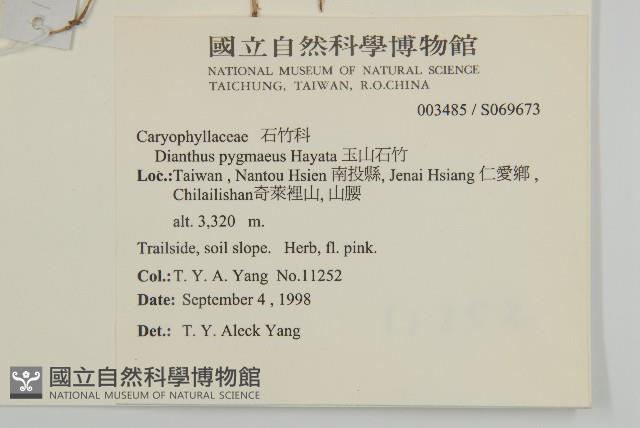 玉山石竹藏品圖，第2張