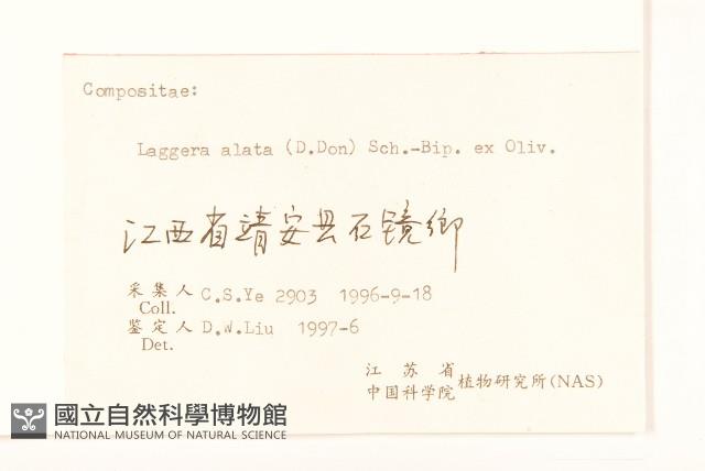 六角草藏品圖，第3張