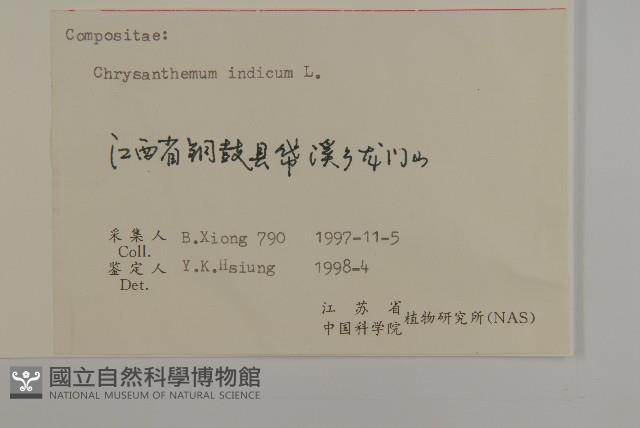 油菊藏品圖，第3張