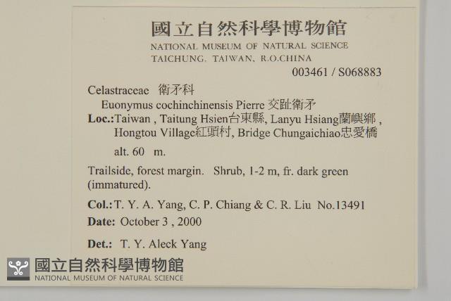 交趾衛矛藏品圖，第2張