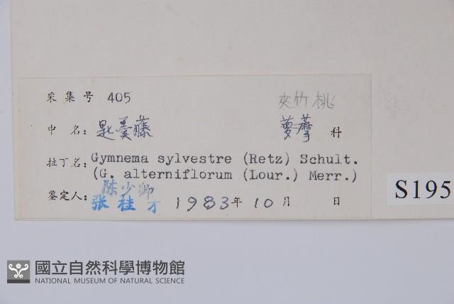 武靴藤藏品圖，第2張