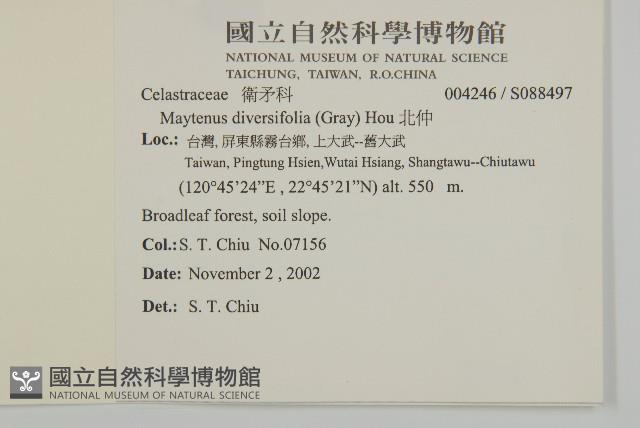 北仲, 刺裸實藏品圖，第2張