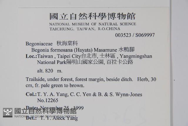 水鴨腳藏品圖，第2張