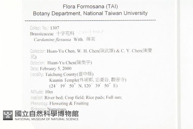 焊菜藏品圖，第2張