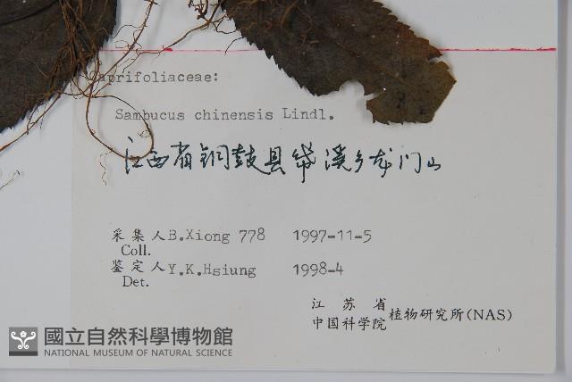 冇骨消藏品圖，第2張