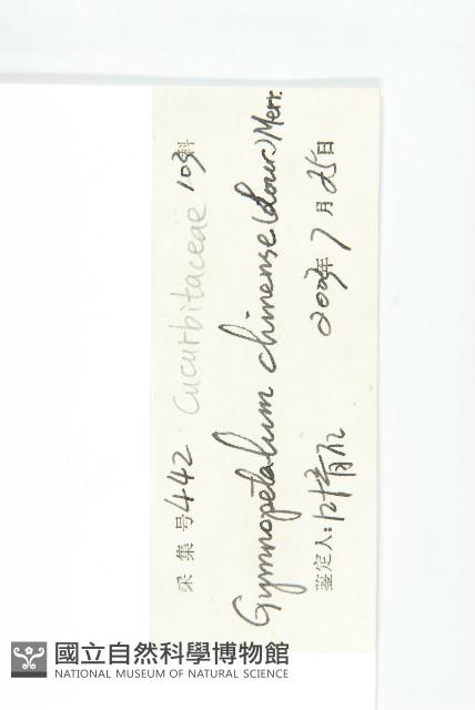 裸瓣瓜藏品圖，第3張