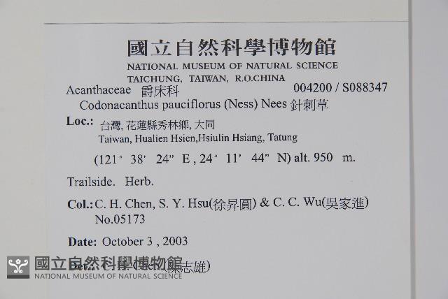 針刺草藏品圖，第2張