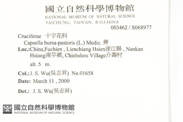 薺藏品圖，第2張