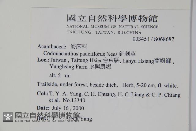 針刺草藏品圖，第2張