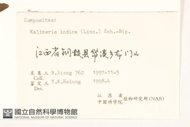 雞兒腸藏品圖，第3張