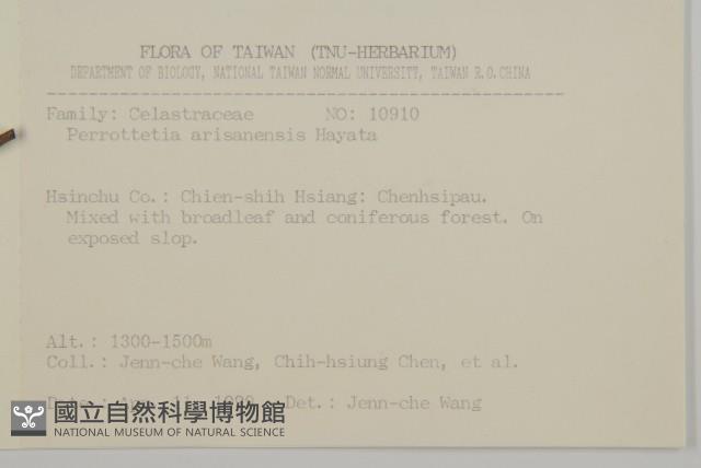 佩羅特木藏品圖，第2張