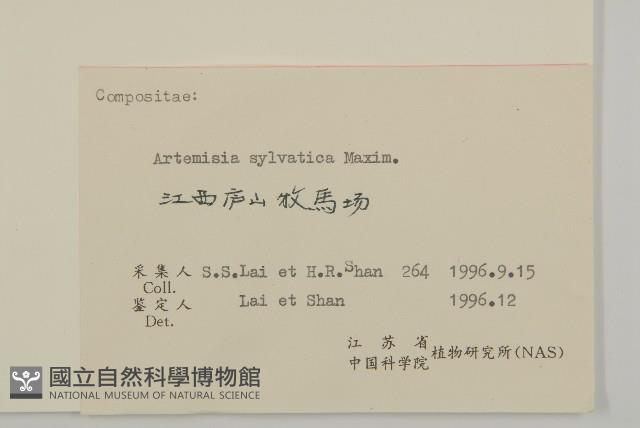 林艾蒿藏品圖，第3張