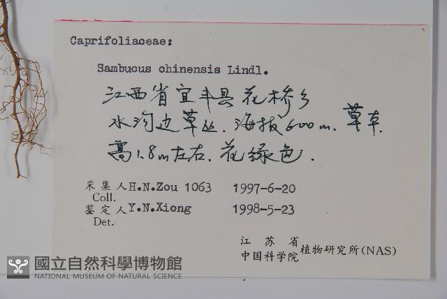 China Elder Collection Image, Figure 2, Total 2 Figures