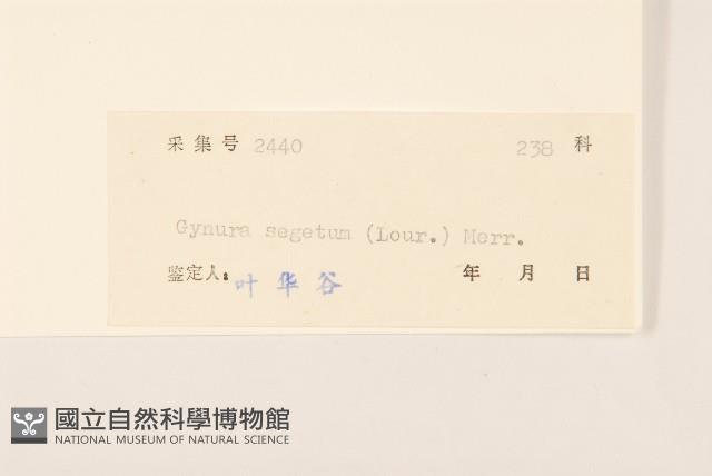 三七草藏品圖，第3張