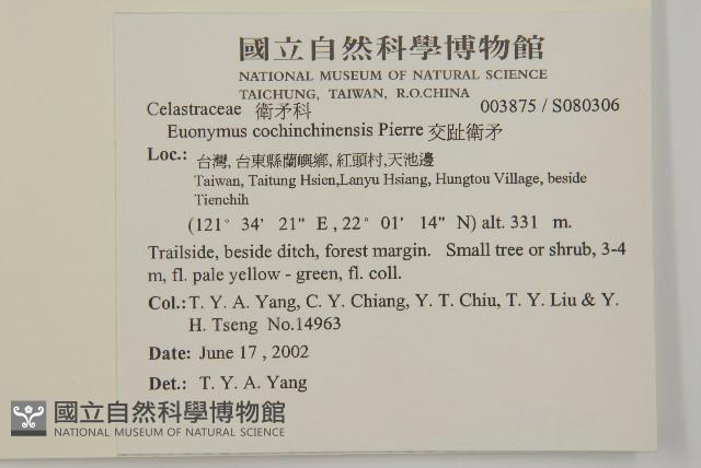 交趾衛矛藏品圖，第2張