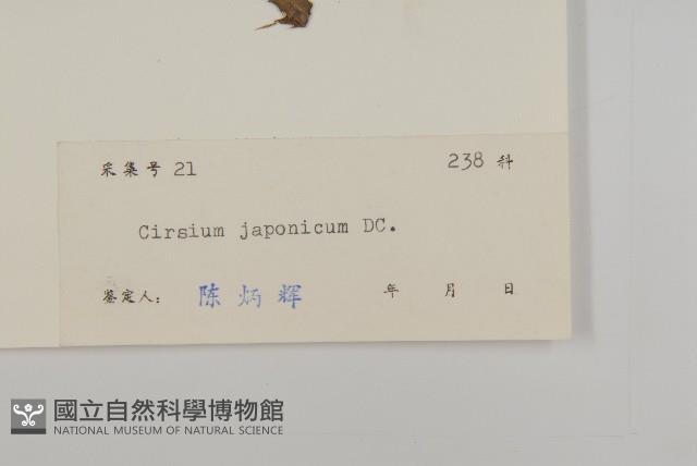 小薊藏品圖，第3張