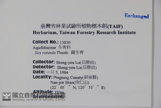 鐵冬青藏品圖，第2張