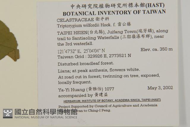 雷公藤藏品圖，第2張