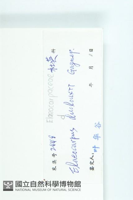 冬桃藏品圖，第3張