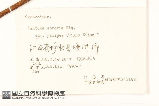 登錄號:S061796藏品圖，第3張