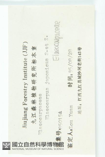 薯豆藏品圖，第3張