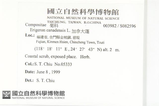 加拿大蓬藏品圖，第2張