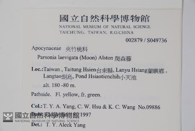 爬森藤藏品圖，第2張