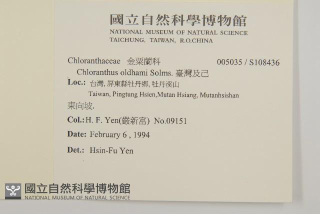 臺灣及己藏品圖，第2張