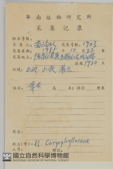 瓜槌草、漆姑草藏品圖，第2張