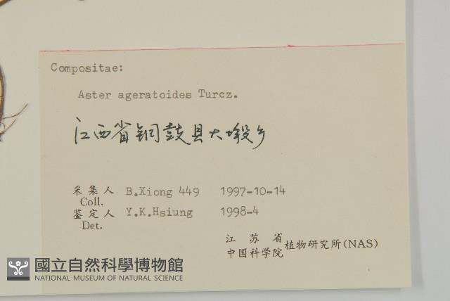 山白蘭藏品圖，第3張