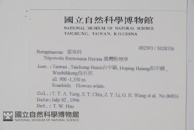 臺灣附地草藏品圖，第2張