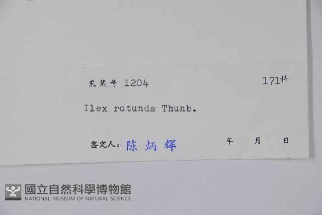 鐵冬青藏品圖，第2張