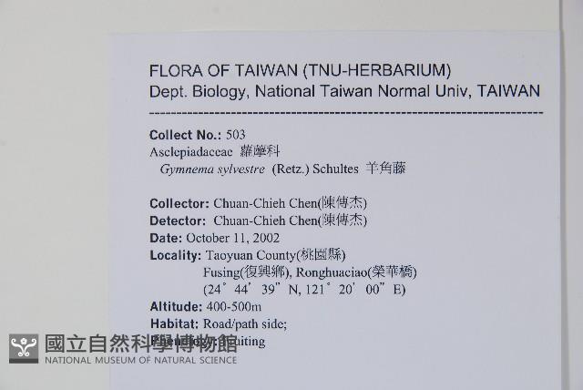 武靴藤藏品圖，第2張