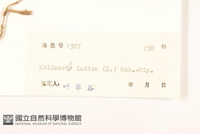 雞兒腸藏品圖，第3張