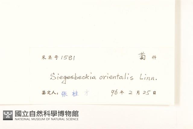 豨簽藏品圖，第3張