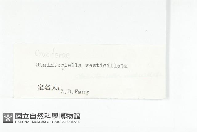 幹葉無隔芥藏品圖，第3張