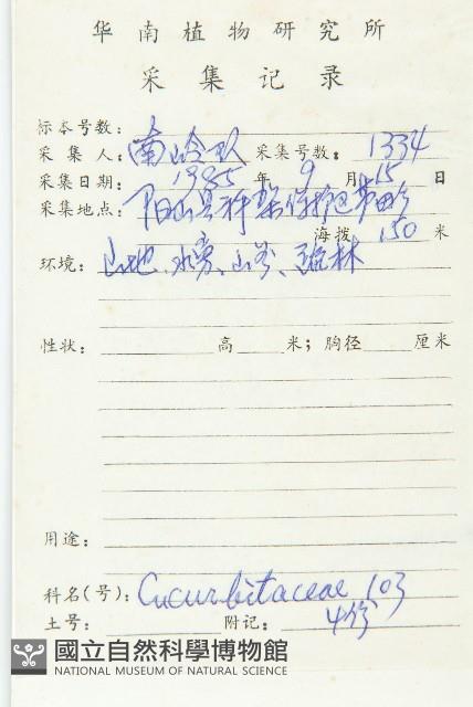 絞股藍藏品圖，第2張