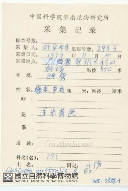 菟絲子藏品圖，第2張