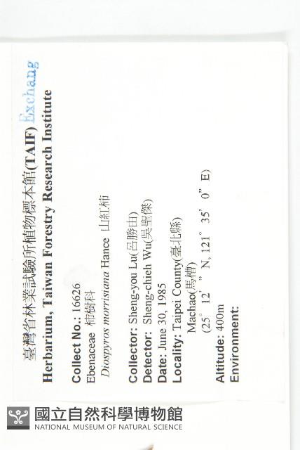 山紅柿藏品圖，第2張