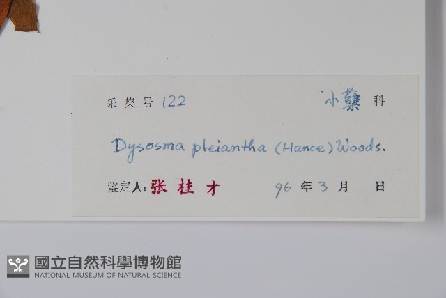 八角蓮藏品圖，第2張