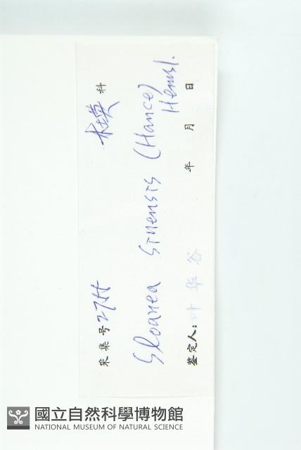 猴歡喜藏品圖，第3張