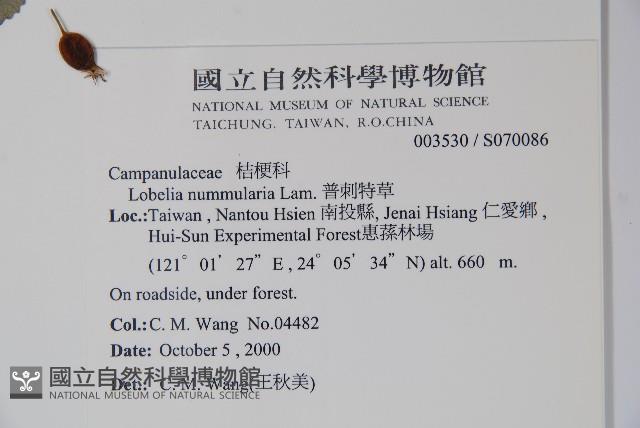 普刺特草藏品圖，第2張