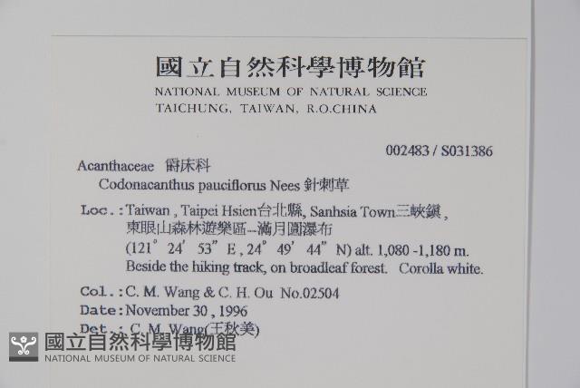 針刺草藏品圖，第2張