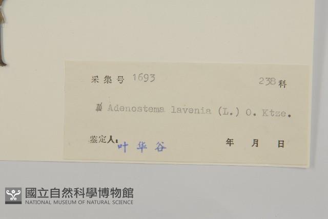 下田菊藏品圖，第3張