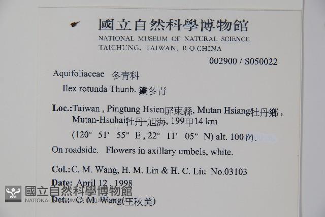 鐵冬青藏品圖，第2張