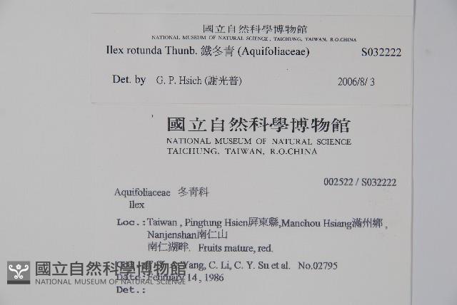 鐵冬青藏品圖，第2張