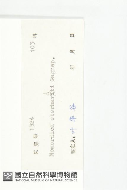 登錄號:S042422藏品圖，第3張