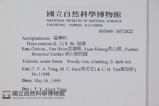 毬蘭藏品圖，第2張