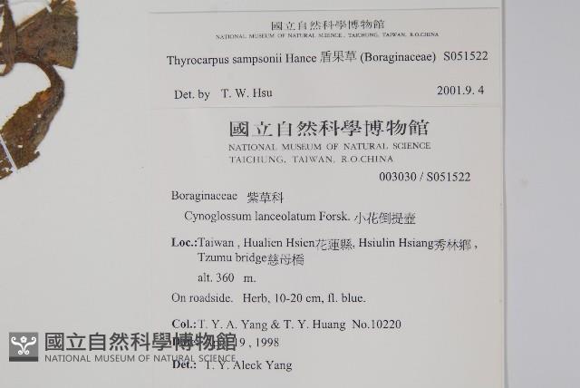 盾果草藏品圖，第2張