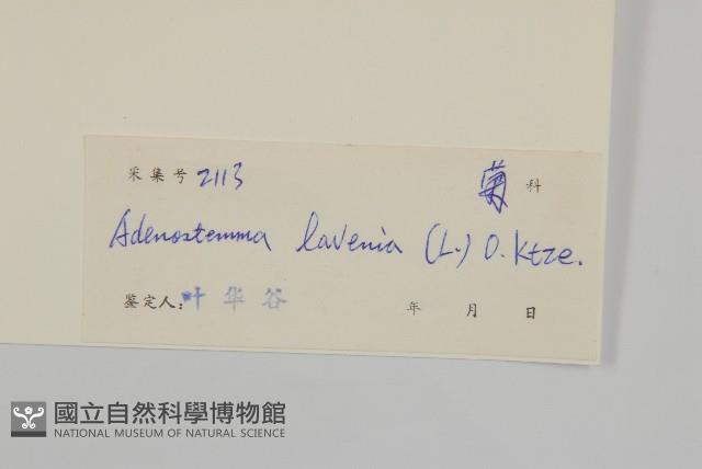 下田菊藏品圖，第3張